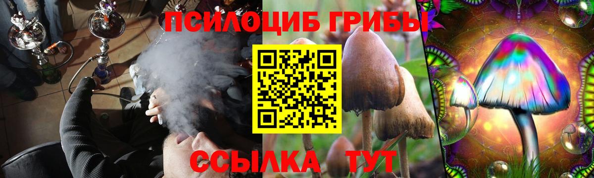Псилоцибиновые грибы прущие грибы Чебаркуль